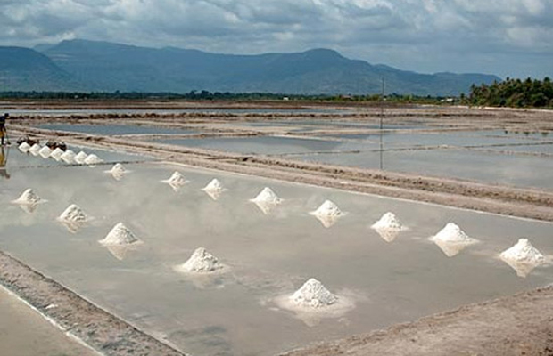 Kampot Salt Product Fields